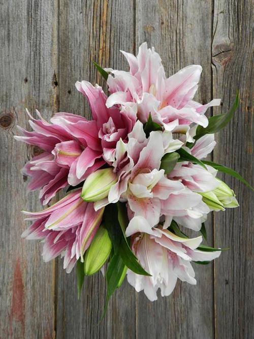 DOUBLE BLOOM ROSE LILY 2-3 BLOOM ASSORTED PINK & WHITE COLOR LILIES